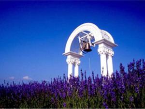 Frontier Furanui Onsen - Dining and Culinary Experiences