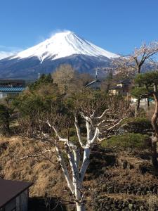 Fujimien - Location and Attractions