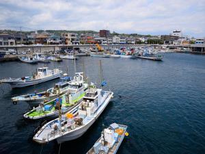 Fukushimakan - Check-in and Check-out