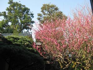 Gyokutei - Local Attractions and Activities