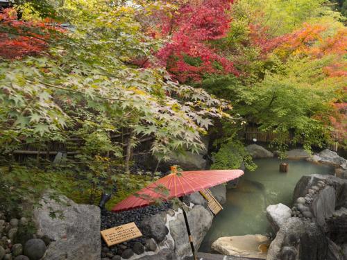 Hikyou Shirakawagensen Sansou Takefue Review - Amenities and Services Offered