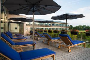 Hôtel Barrière Ribeauvillé - Activities and Nearby Attractions