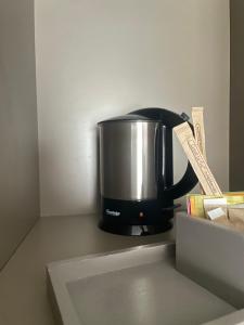 Hotel Mercure Grenoble Centre President - Business Facilities