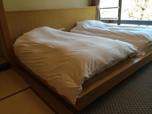 Hotel Park - Nearby Attractions