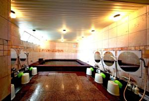 Hotel Sun Plaza Sakai - Recreational Offerings