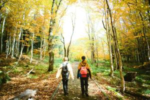 Hotel Yutoria Fujisato - Amenities and Facilities