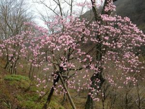 Houshi Onsen Chojukan - Travel Tips and Advice