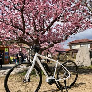 Kona Stay Bicycle Resort - Guest Ratings and Reviews