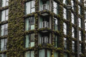 La Belle Ville - About Staying Here