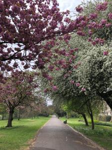 Lancaster Hall Hotel - Nearby Attractions