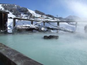 Manza Onsen Nisshinkan - Dining Experience