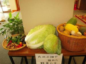 Marukita Mountain Tour - Guest Ratings and Reviews
