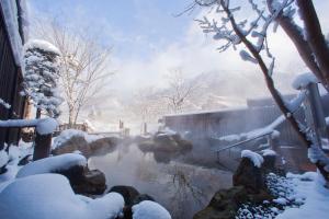 Miyama Ouan Kyoritsu Resort Review - Resort Amenities