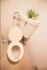 New Great Long Protection Management - Long Stay Options