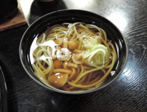 Nishiki Onsen Kurion - Policies and Regulations