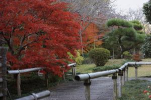 Oukai Villa Izumi - Dining and Culinary Offerings