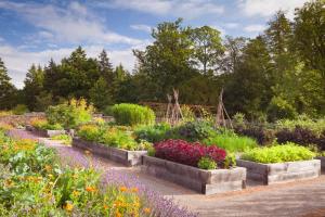 Rudding Park - Dining Experiences