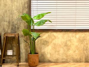 S-asakusa - Guest Reviews