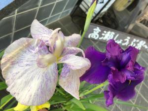 Satsuki Bessou - Booking Information
