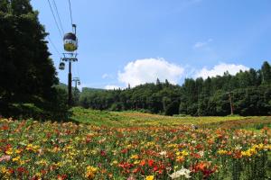Schole Hakuba - Nearby Attractions and Landmarks
