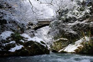 Shirasagiyu Tawaraya - Accommodation Options