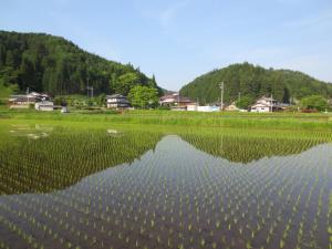 Shitanda - Nearby Attractions and Activities
