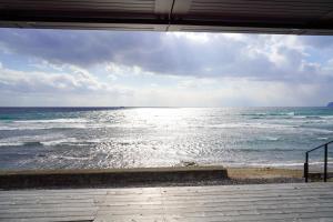 Sinori205 - Welcoming Child and Pet Policies