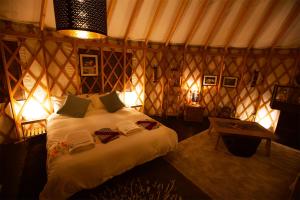 Snowball Chalet at Madarao Mountain - Room Options Available