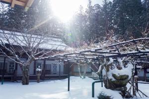 Sojiin - Dining Options and Meals