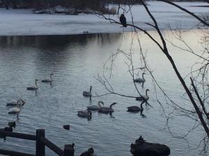 Station Hotel Asahiya - Check-in and Check-out