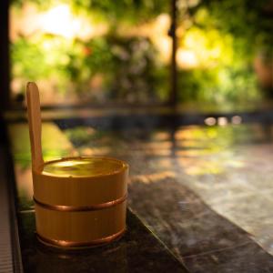 Super Hotel Premier Ginza - Room Types Available