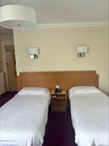 Templestowe Hotel, Number One for Entertainment in Torquay - Entertainment and Activities
