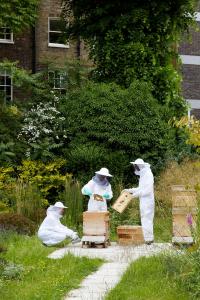 The Montague On The Gardens - Policies and Accessibility