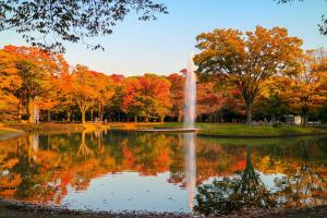The Westin Tokyo - Accommodation Tax