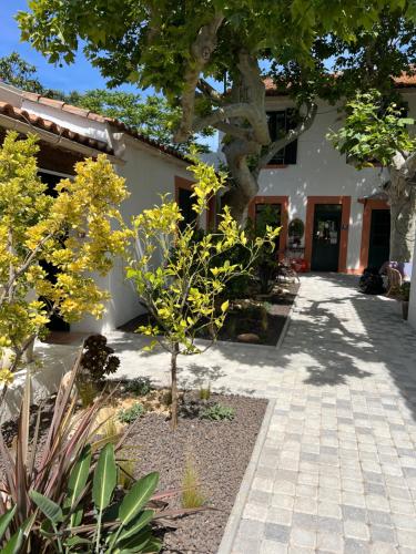 Timeless - Amenities and Services Offered