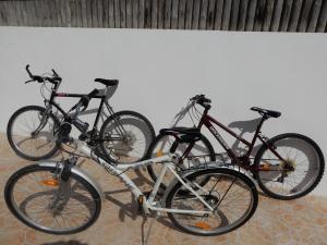 Villa of the Baths of the Sea With Balcony and View, Terrace, 300 M From the Beach, 2 Bedrooms, Bicycles Provided in Mers Les Bains Le Treport, Breakfast Optional - Nearby Activities