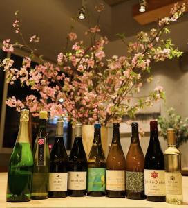 Yoichi LOOP - Guest Ratings and Feedback