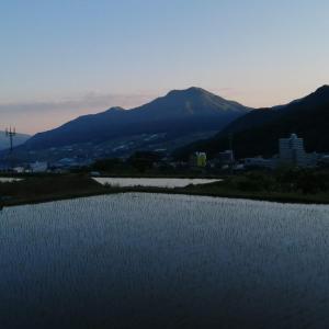 Yudanaka Onsen Yamazakiya - Guest Experience and Reviews