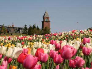 APA Hotel & Resort Sapporo - Nearby Attractions and Activities