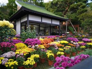 Azumakan - Guest Ratings and Feedback