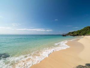Beach Resort Hotel Kalakaua - Nearby Attractions and Activities