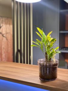 FIT INN AKIHABARA - Nearby Attractions