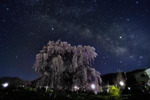 Fujiiso (Adult Only) - Amenities and Facilities