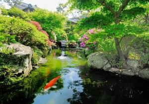 Haiya Ryokan: A Comprehensive Review - Guest Feedback