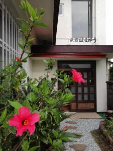 Hamayuu - Guest Reviews and Experiences