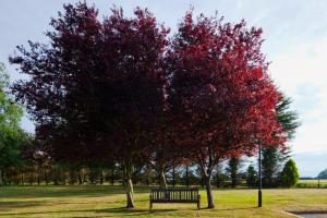 Holiday Inn Ipswich, an IHG Hotel - Guest Reviews and Ratings