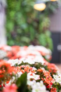 Hotel Aida Marais - Payment and Policies