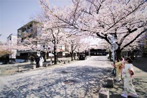 Hotel Alza Kyoto - Frequently Asked Questions