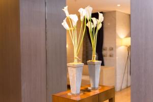 Hotel Il Grande Umeda - Accessibility and Transportation