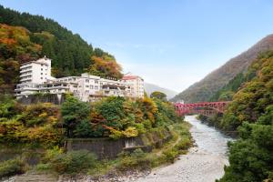 Hotel Kurobe - Activities and Attractions